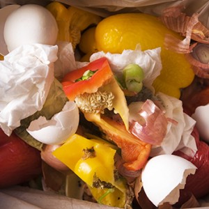 Food waste in a recycling bin