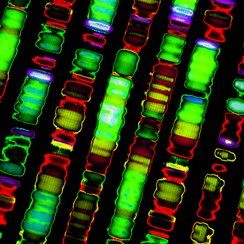 gene-sequence cancer research