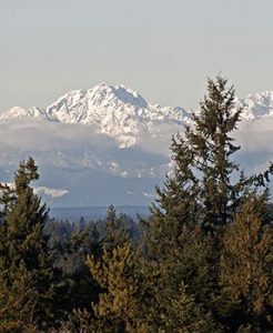 Olympic Mtns from Shelton
