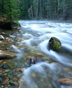 River near Metaline Falls in Pend Oreille County