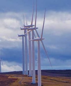 Wind turbines line a ridge in Klickitat County