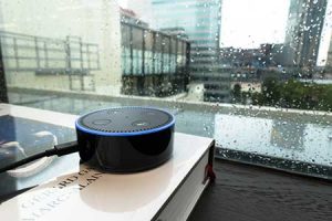 An Alexa device from Amazon sits on a table in an office.