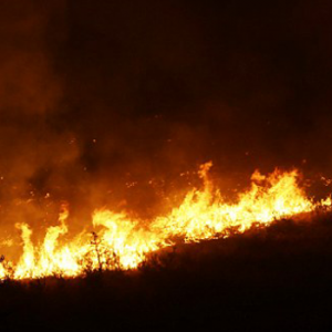 wildfires - AP photo