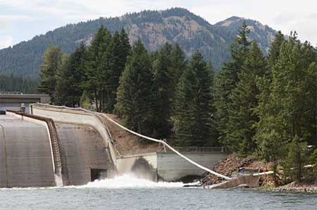 A salmon cannon shoots fish over a dam so it can spawn.