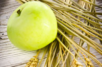 A green apple resting on chaffs of wheat