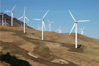 A hillside filled with wind turbines