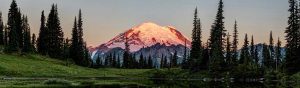 The sunrises on the face of Mount Rainier behind a field of trees and grass