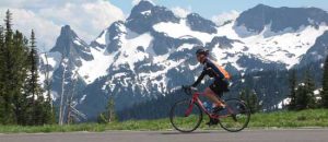 A bicyclist rides through Mount Rainier National Park