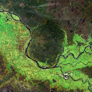 A river tributary as seen from space