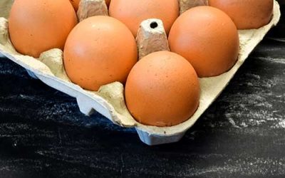 Fibro reinvents the egg carton.