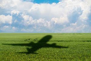 A plane casts a shadow as it flies over a field, the source of its biofuel.