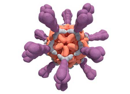 An illustration of a virus-like particle that may help revolutionize vaccines.