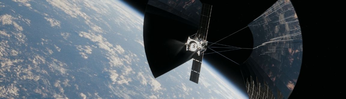 An image of harvested wood