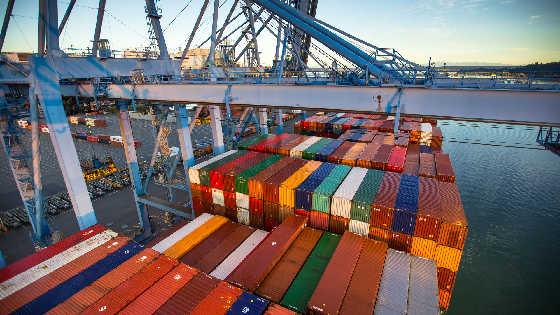 An image of harvested wood