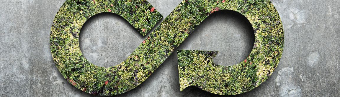 A representation of the steps in creating a circular economy where waste is virtually eliminated through use and reuse.